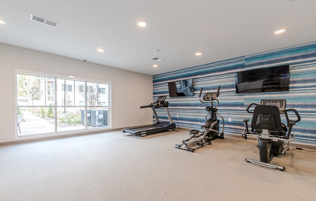 Fitness Studio at Briar Park 55+ Apartments, Atlanta 